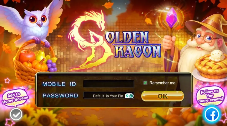 Playmobile golden dragon